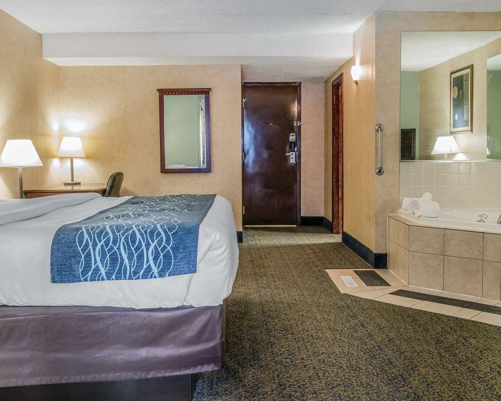 Quality Inn & Suites Coldwater Near I-69 Pokoj fotografie