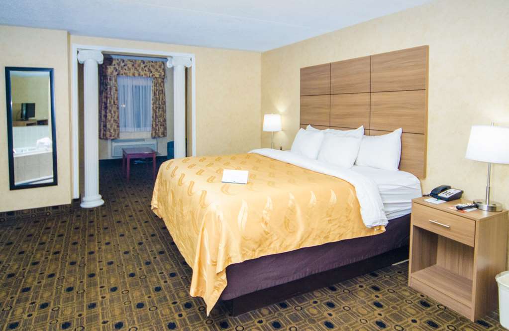 Quality Inn & Suites Coldwater Near I-69 Pokoj fotografie