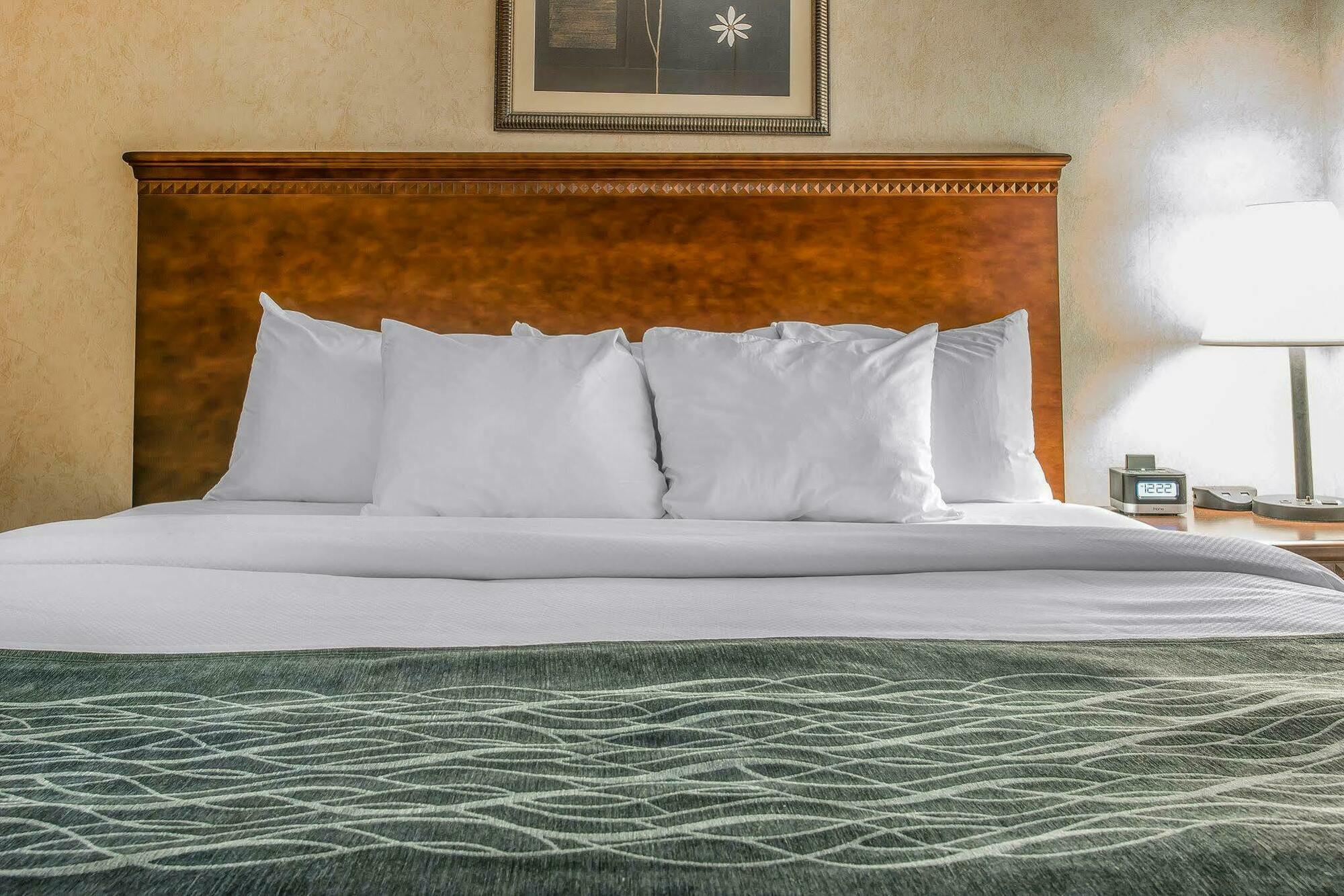 Quality Inn & Suites Coldwater Near I-69 Exteriér fotografie